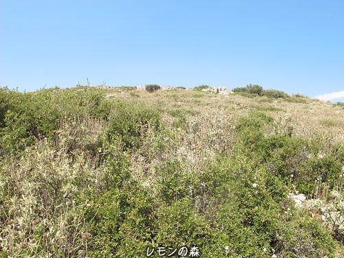 c0010496_01431748.jpg