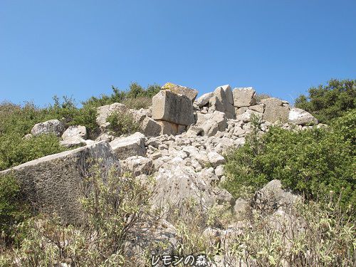 c0010496_01434790.jpg