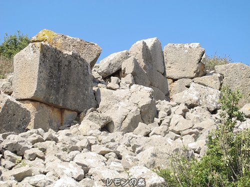 c0010496_01442694.jpg