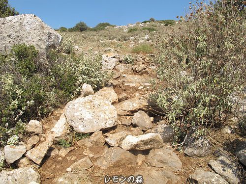 c0010496_01541816.jpg