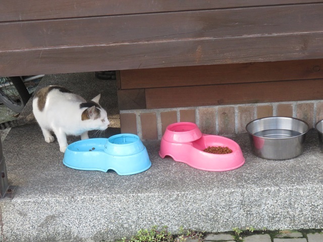 f0346196_06080402.jpg