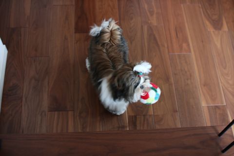 c0090198_17184550.jpg