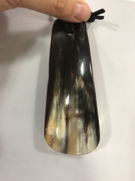アビィにぽっちゃりが入荷_d0166598_10300086.jpeg
