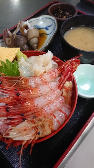 漁火 【海鮮丼】_d0235898_09371754.jpg