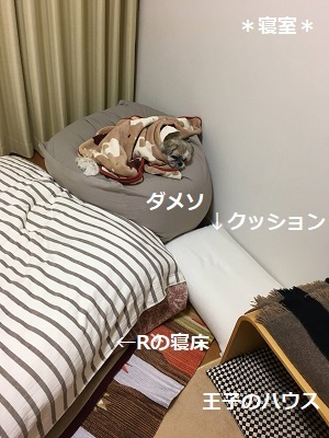 f0372998_20191309.jpg