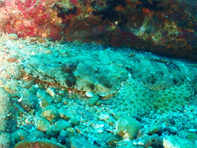 e0115199_18474490.jpg