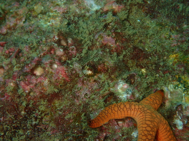 e0115199_18495945.jpg