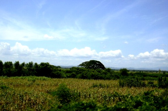 d0140806_1657238.jpg