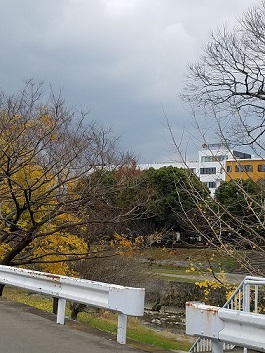 f0371014_07512625.jpg