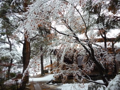 e0135219_10241022.jpg