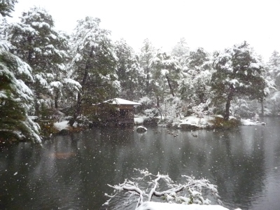 e0135219_10244072.jpg
