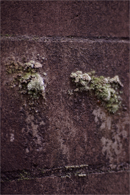 b0226423_11082290.jpg