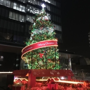 f0309325_17014456.jpeg
