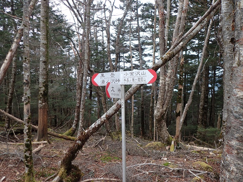 e0284726_1818296.jpg
