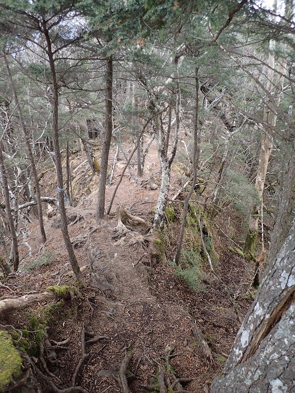 e0284726_18185345.jpg