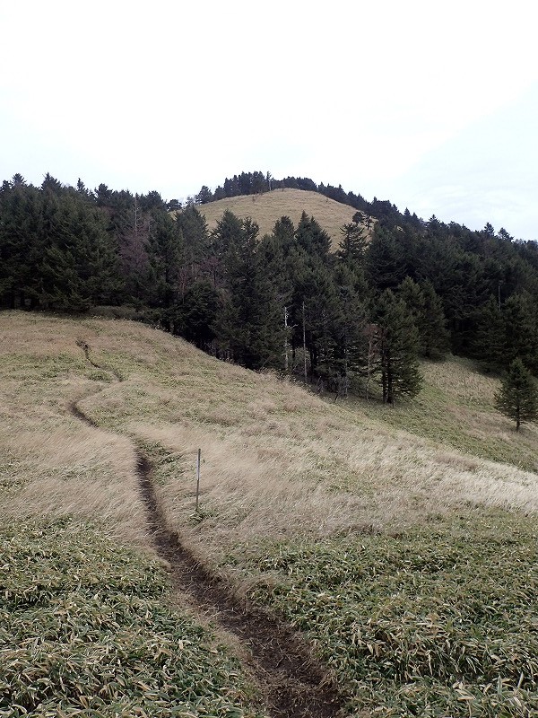 e0284726_18194042.jpg