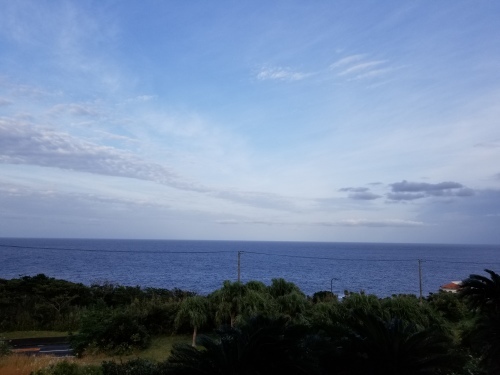 in八丈島_f0165126_20402994.jpg