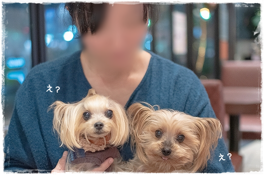 d0179828_10531300.png