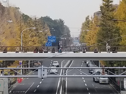 e0016828_10472700.jpg
