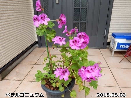 e0033229_16543589.jpg