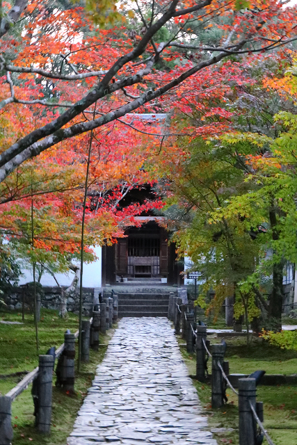 紅葉の京都2018 －一休寺へ－ _b0169330_0193431.jpg