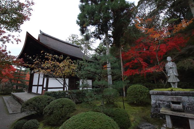 紅葉の京都2018 －一休寺へ－ _b0169330_7351651.jpg