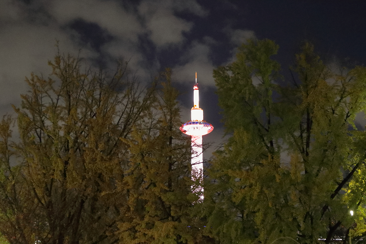 紅葉の京都2018 －一休寺へ－ _b0169330_8184843.jpg