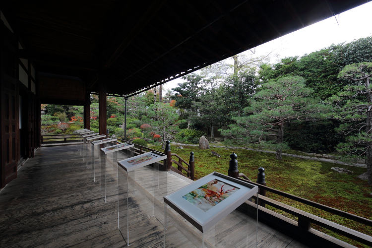 紅葉の京都2018 －一休寺へ－ _b0169330_861763.jpg