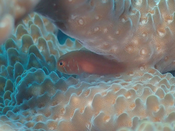 d0164831_17375899.jpg
