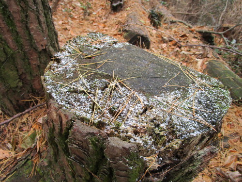 a0345833_22115679.jpg