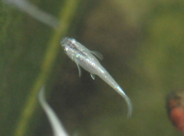 e0097534_17584681.jpg
