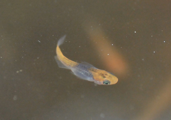 e0097534_18244100.jpg