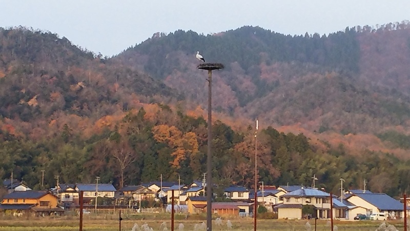 e0305834_23174743.jpg