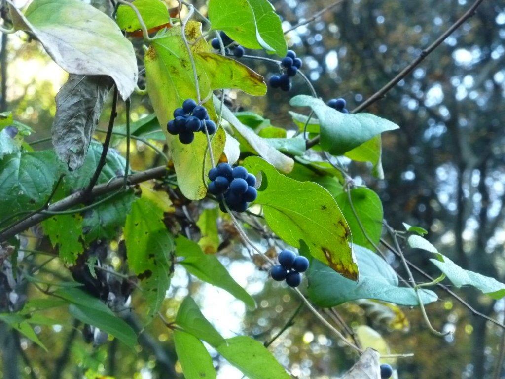b0298935_15000850.jpg