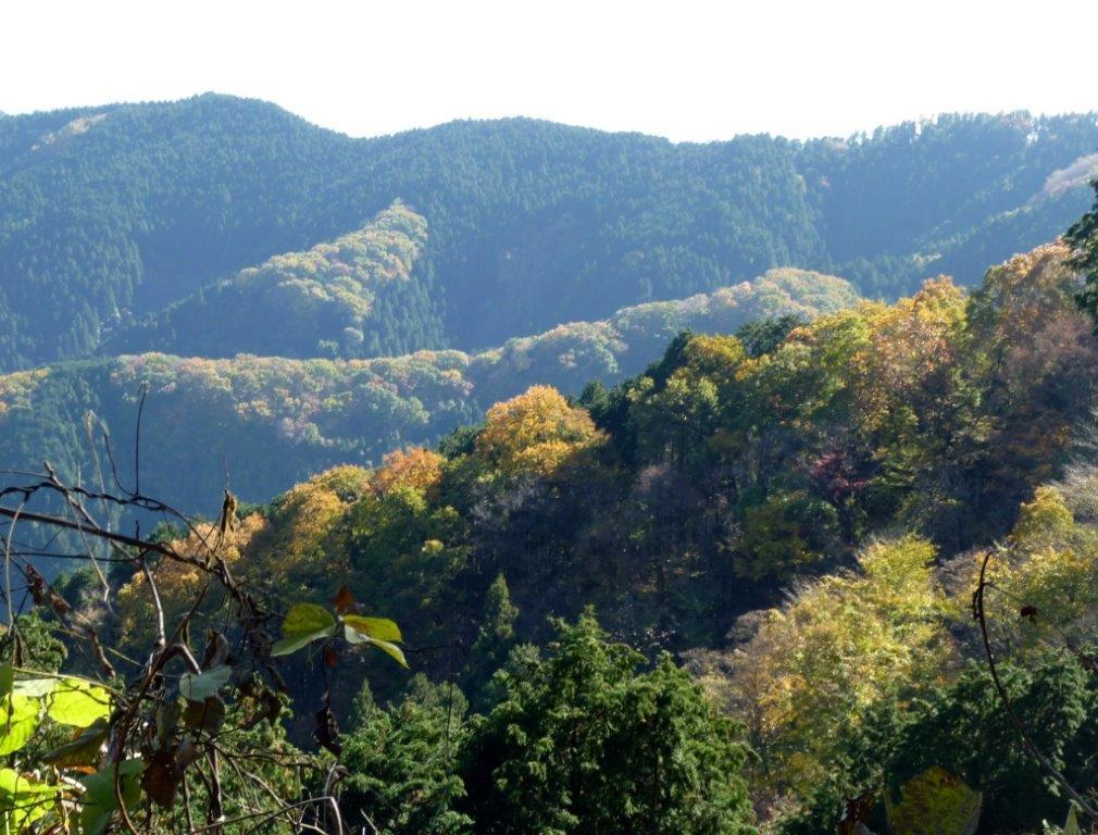 b0298935_15011241.jpg