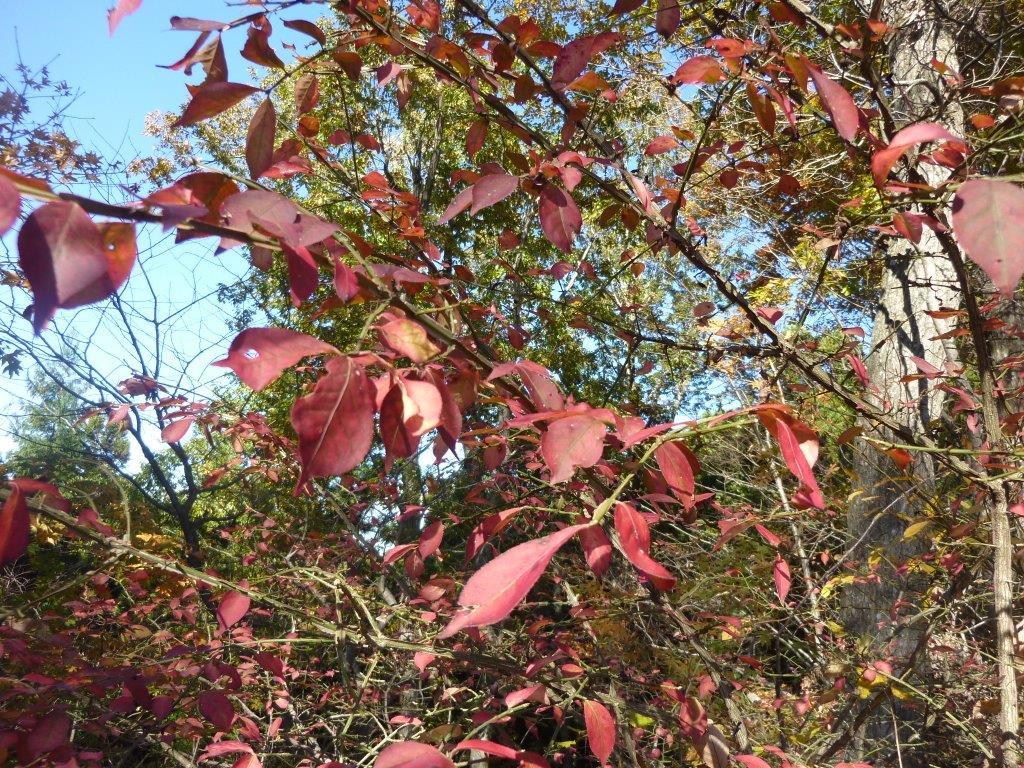 b0298935_15011642.jpg