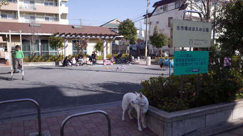 a0117039_21343170.jpg