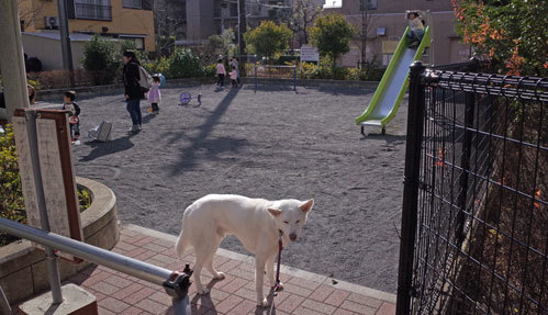 a0117039_21350963.jpg