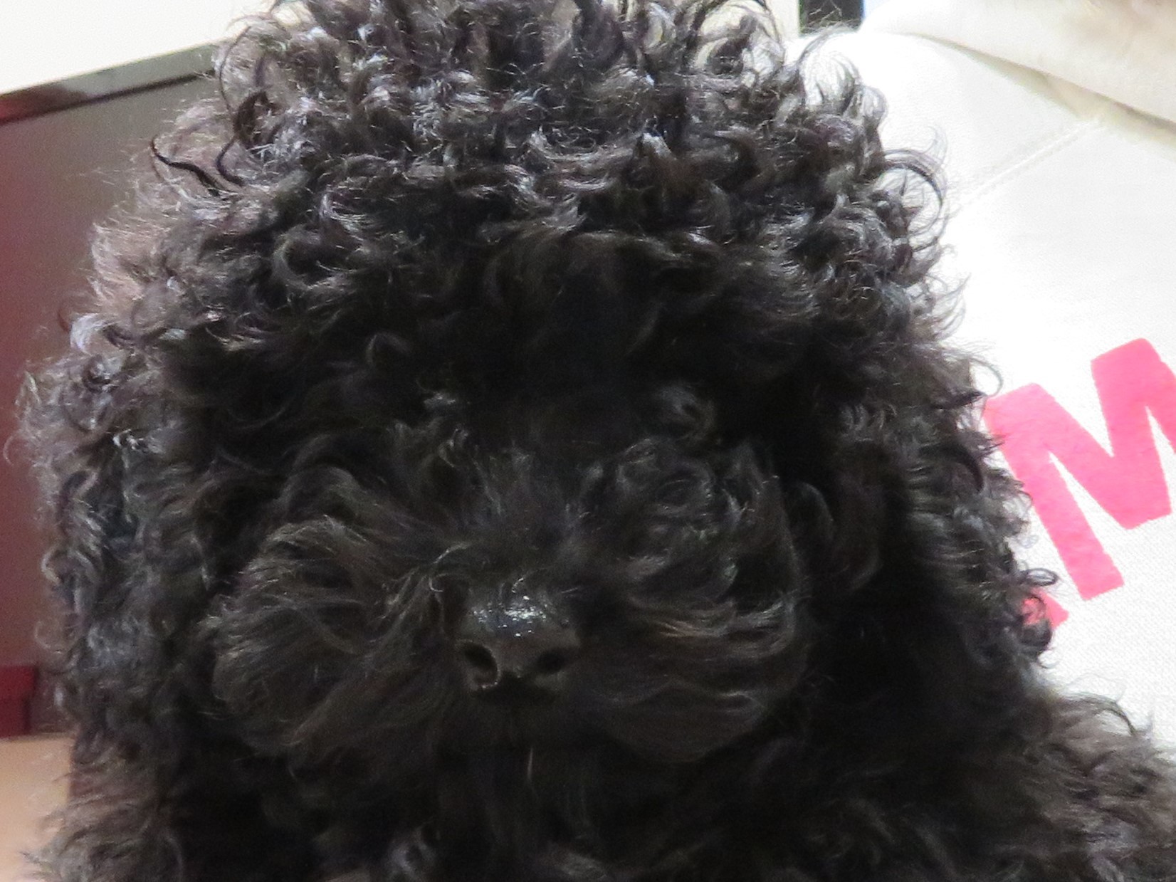 c0174644_12365008.jpg