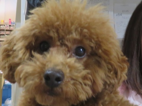 c0174644_12372341.jpg