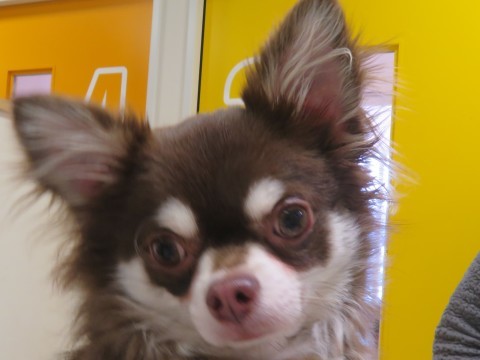 c0174644_12372352.jpg