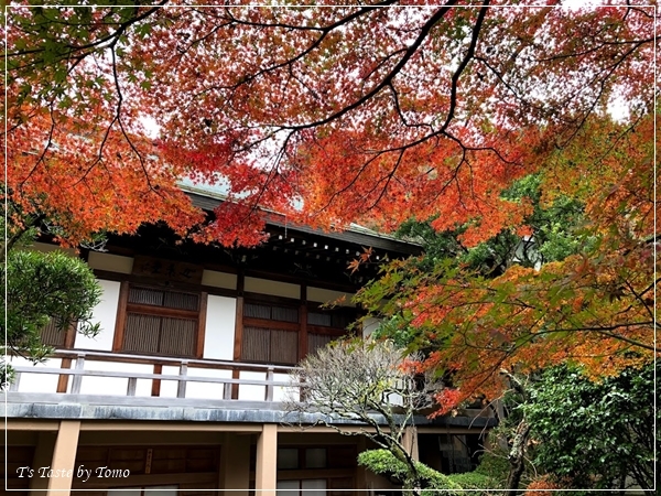 葉山・鎌倉　お誕生日旅行振り返り_f0329049_19430395.jpg