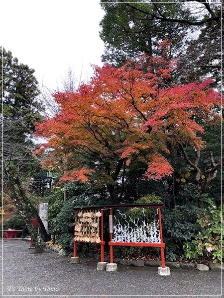 葉山・鎌倉　お誕生日旅行振り返り_f0329049_19465538.jpg