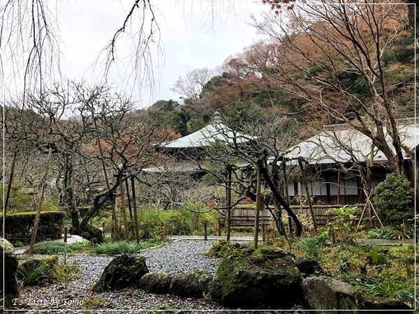 葉山・鎌倉　お誕生日旅行振り返り_f0329049_19465624.jpg