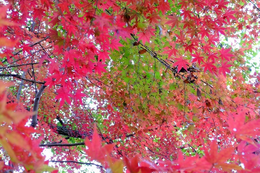 b0236251_13554173.jpg