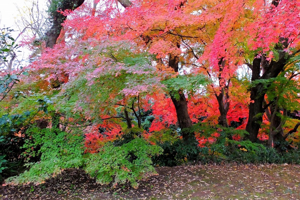 b0236251_13555360.jpg