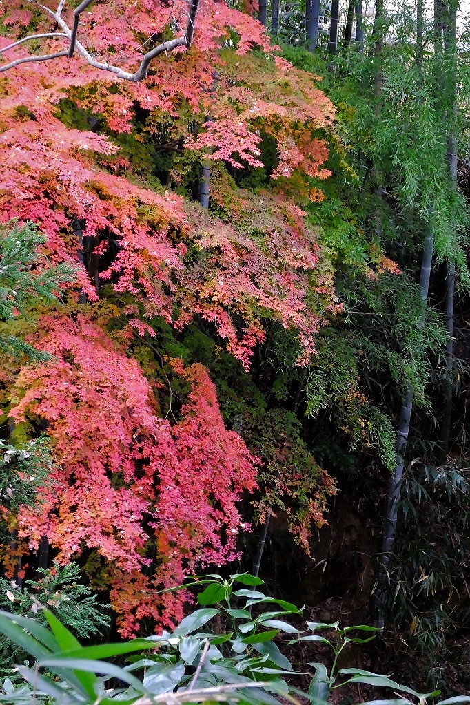 b0236251_13564685.jpg
