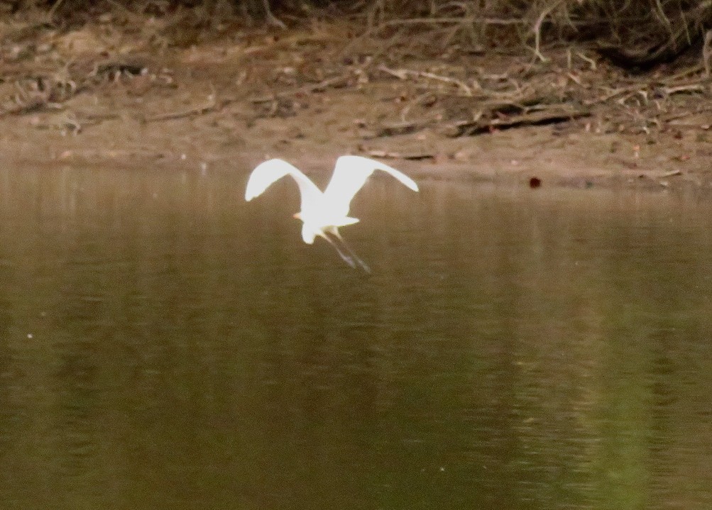 a0018655_09283292.jpg