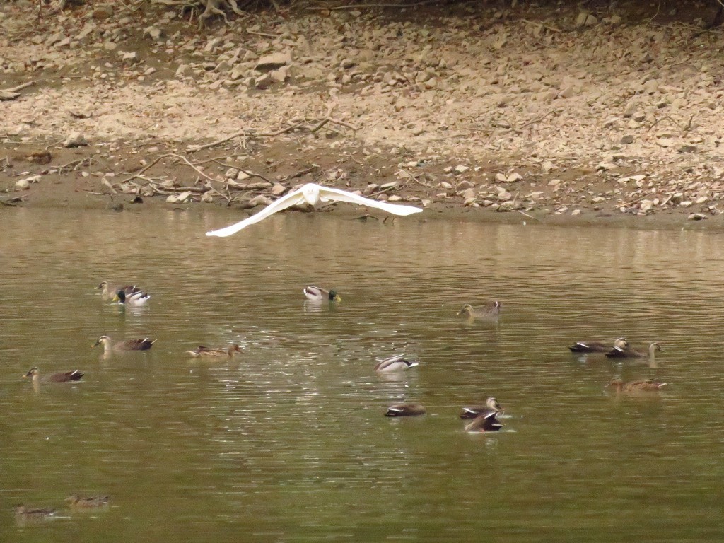 a0018655_09283336.jpg