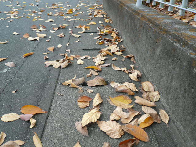 c0043055_16260312.jpg